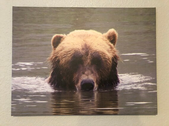 Grizzly Bear Canvas Wall Art Print Etsy