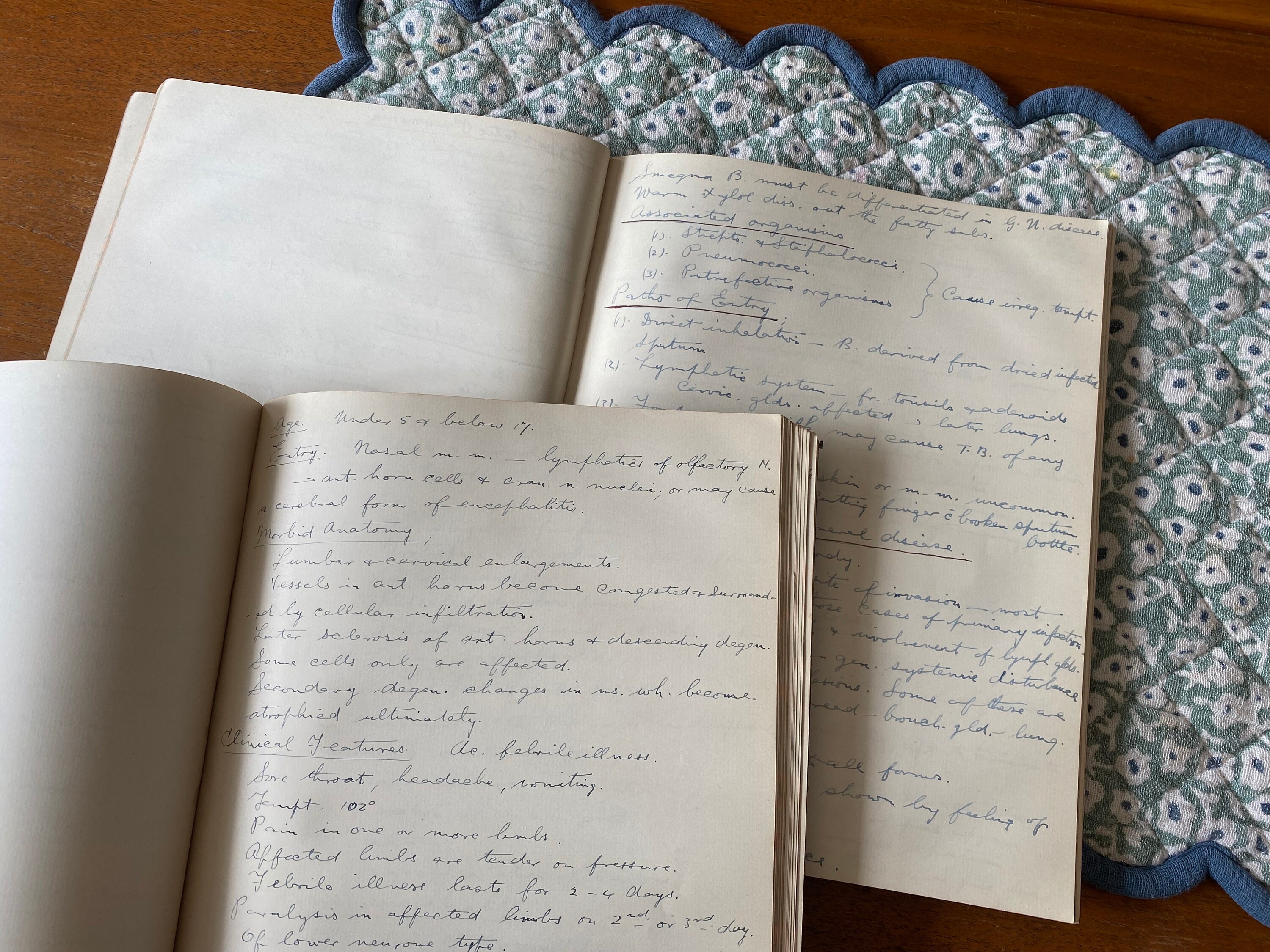 1922 Handwritten Medical Student Notebooks on Hysteria, Tuberculosis ...