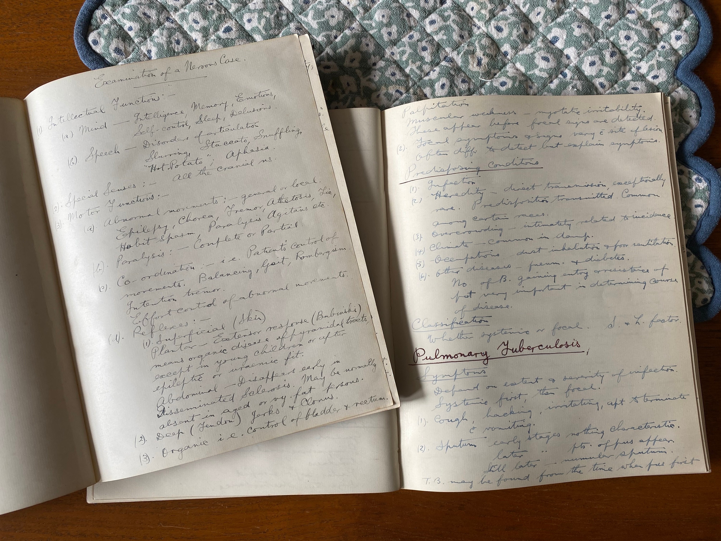 1922 Handwritten Medical Student Notebooks on Hysteria, Tuberculosis ...