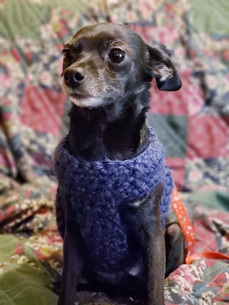 Dog Harness Crochet Pattern PDF Printable Pattern for Dogs - Etsy