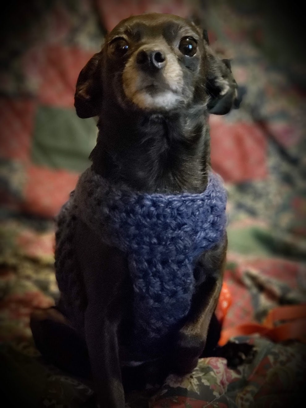 Crochet Dog Harness Pattern: Beginner-Friendly Puppy Accessory (PDF Pattern) - Thumbnail 3