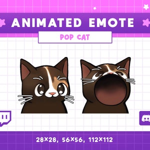 Gesto animado de gato pop, gato gatito naranja negro, gestos de discordia divertidos, gesto de Twitch Kawaii Chibi Cat, gesto de maullido, meme de gatito, gestos de transmisión