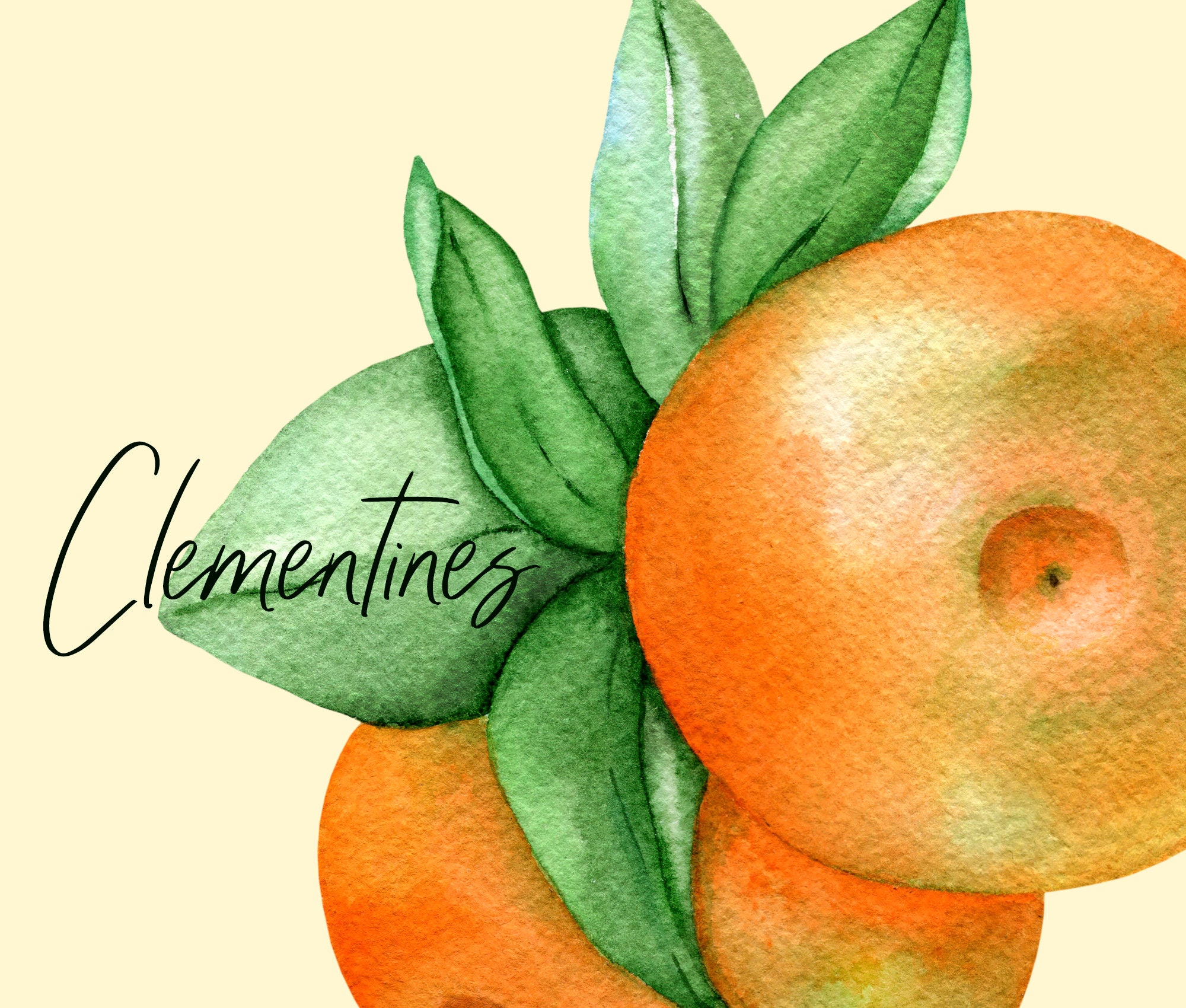 Watercolor clementine clipart Watercolor tangerine clipart Etsy