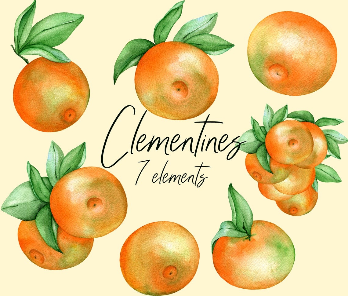 Watercolor clementine clipart Watercolor tangerine clipart Etsy