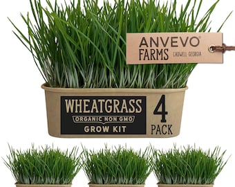 May include: Four pack of wheatgrass grow kits from Anvevo Farms in Cadwell, Georgia. Each kit contains a tray of organic, non-GMO wheatgrass.