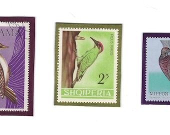 Set of 3 Woodpecker Postage Stamp Frig Magnets