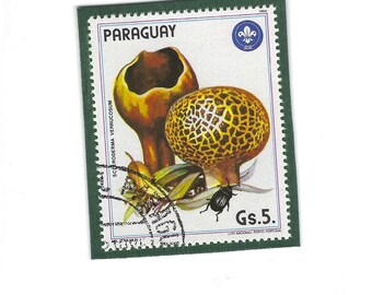 Mushroom Postage Stamp Frig Magnet