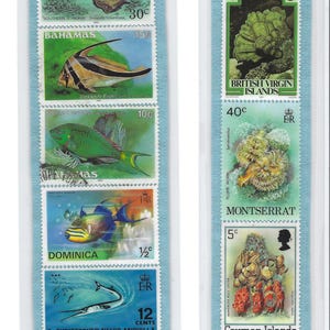 May include: Two strips of postage stamps featuring colorful marine life. One strip includes stamps from the British Virgin Islands, Cayman Islands, Bahamas, Dominica, and St. Christopher-Nevis-Anguilla. The other strip features stamps from Montserrat.