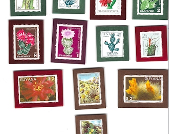 Set of 12 Flowering Cacti and Desert Plants Frig Magnets - Nice Gift for your Gardening Club!