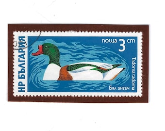 Set of Three Ducks Postage Stamp Magnets