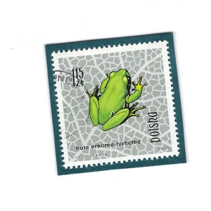 May include: Three postage stamps featuring different frogs. The first stamp is blue and features a red and black frog with the text "Polska" and "250 zl". The second stamp is blue and features a green frog with the text "Polska" and "155 zl". The third stamp is blue and features a green and brown frog with the text "Polska" and "155 zl".