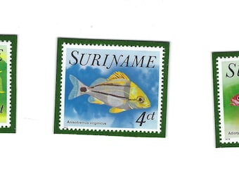 Set of Three Tropical Fish Postage Stamp Magnets