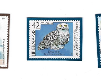 Set of 3 Owl Postage Stamp Frig Magnets