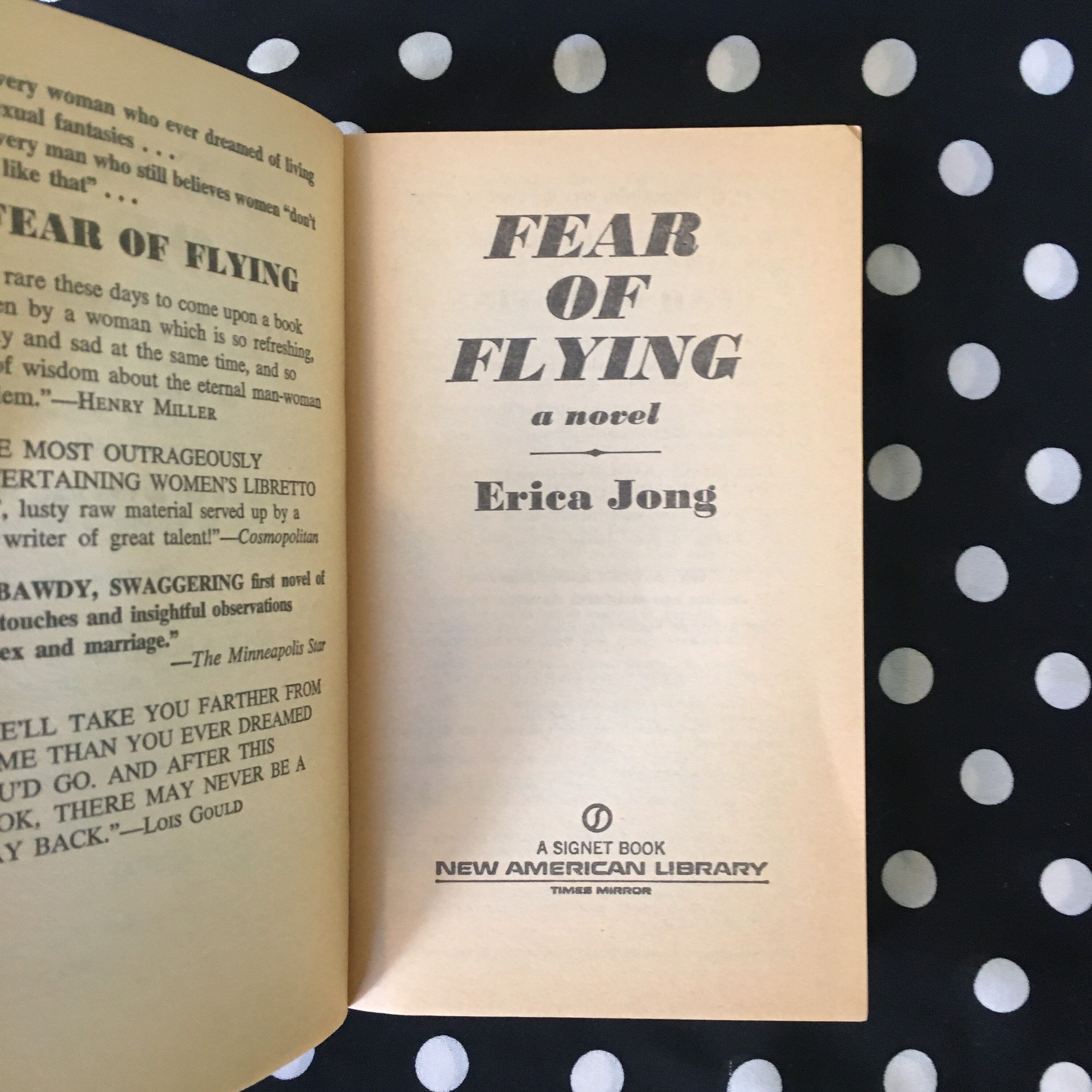 fear of flying erica jong review fear of flying erica jong review