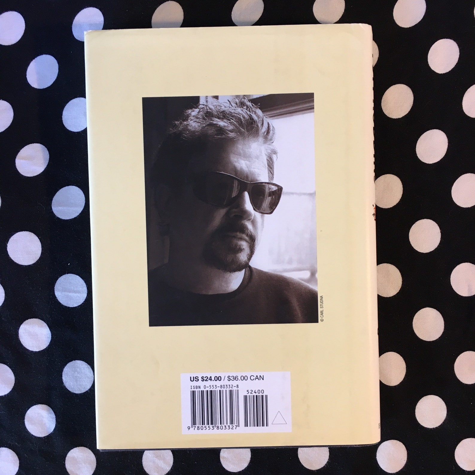 villa incognito by tom robbins villa incognito by tom robbins