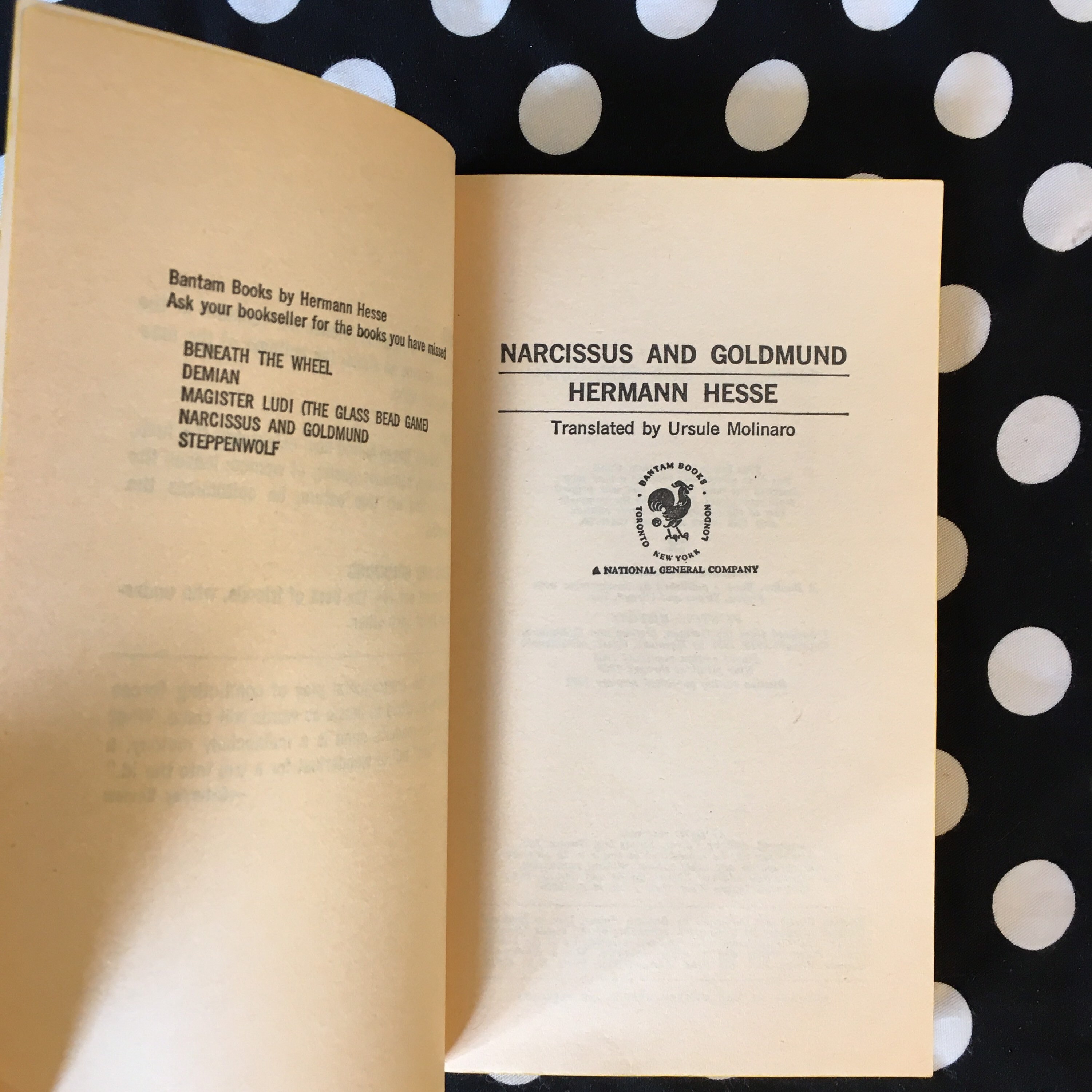 Narcissus and Goldmund by Herman Hesse 1971 Paperback Etsy