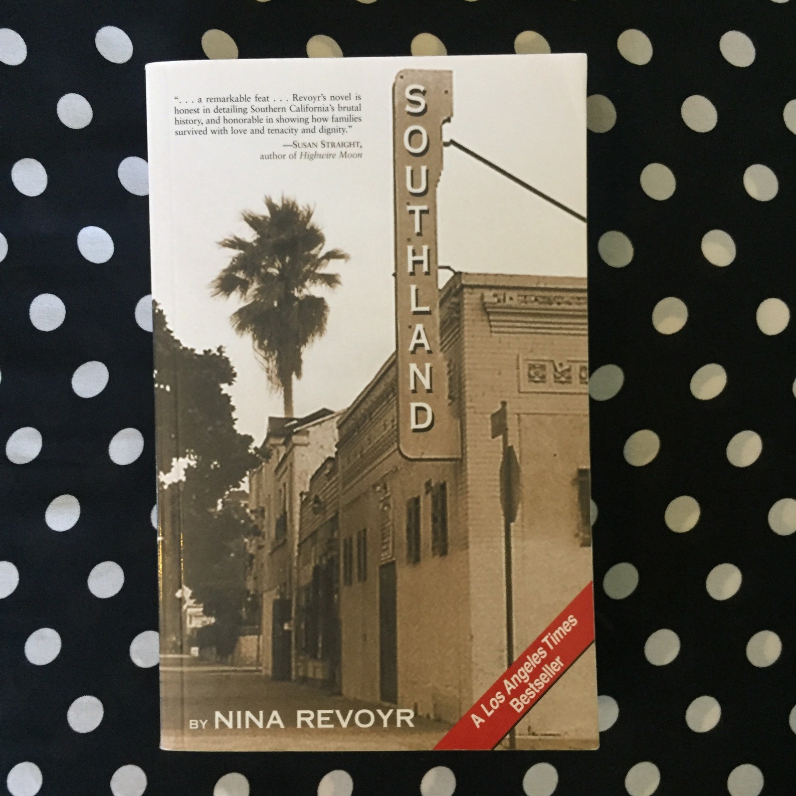 the age of dreaming by nina revoyr