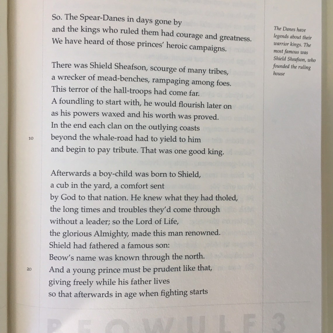 Beowulf A New Verse Translation by Seamus Heaney 2000 Etsy