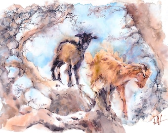 Moroccan goats on the argania tree, watercolor fine art print from the original.