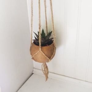 May include: A small succulent plant in a brown hanging planter made of natural materials. The planter is suspended from a macrame-style cord made of natural twine.