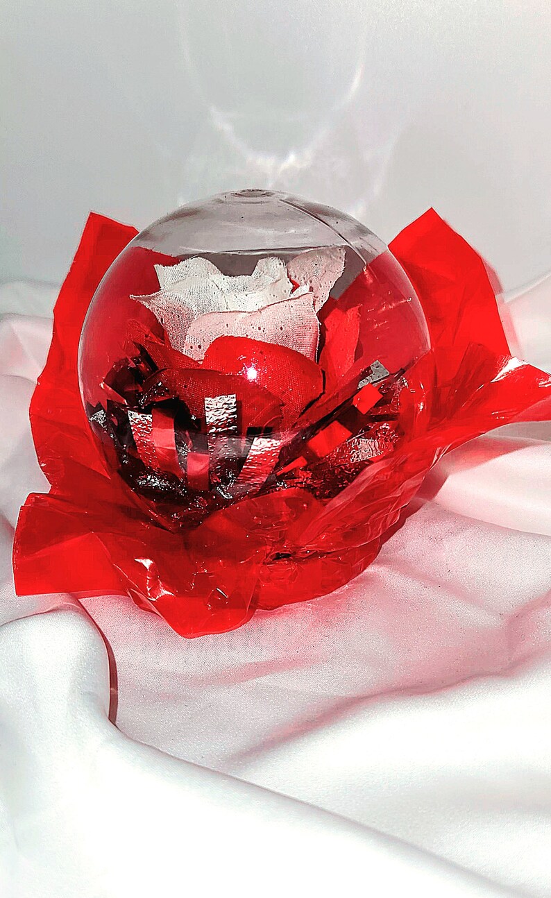 Flower Rose Globe Picture Rose Globe White Red, Red, Blue Pink, White