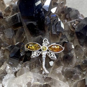 Acomo / Baltic Amber Dragonfly Sterling Silver Pendant