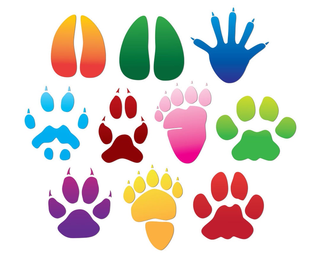 Color Animal Print Clip Art - Etsy