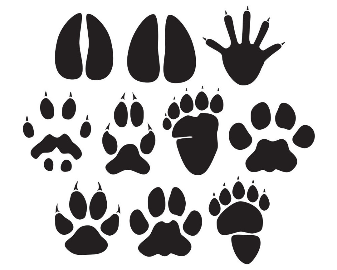 Animal Prints Clip Art - Etsy