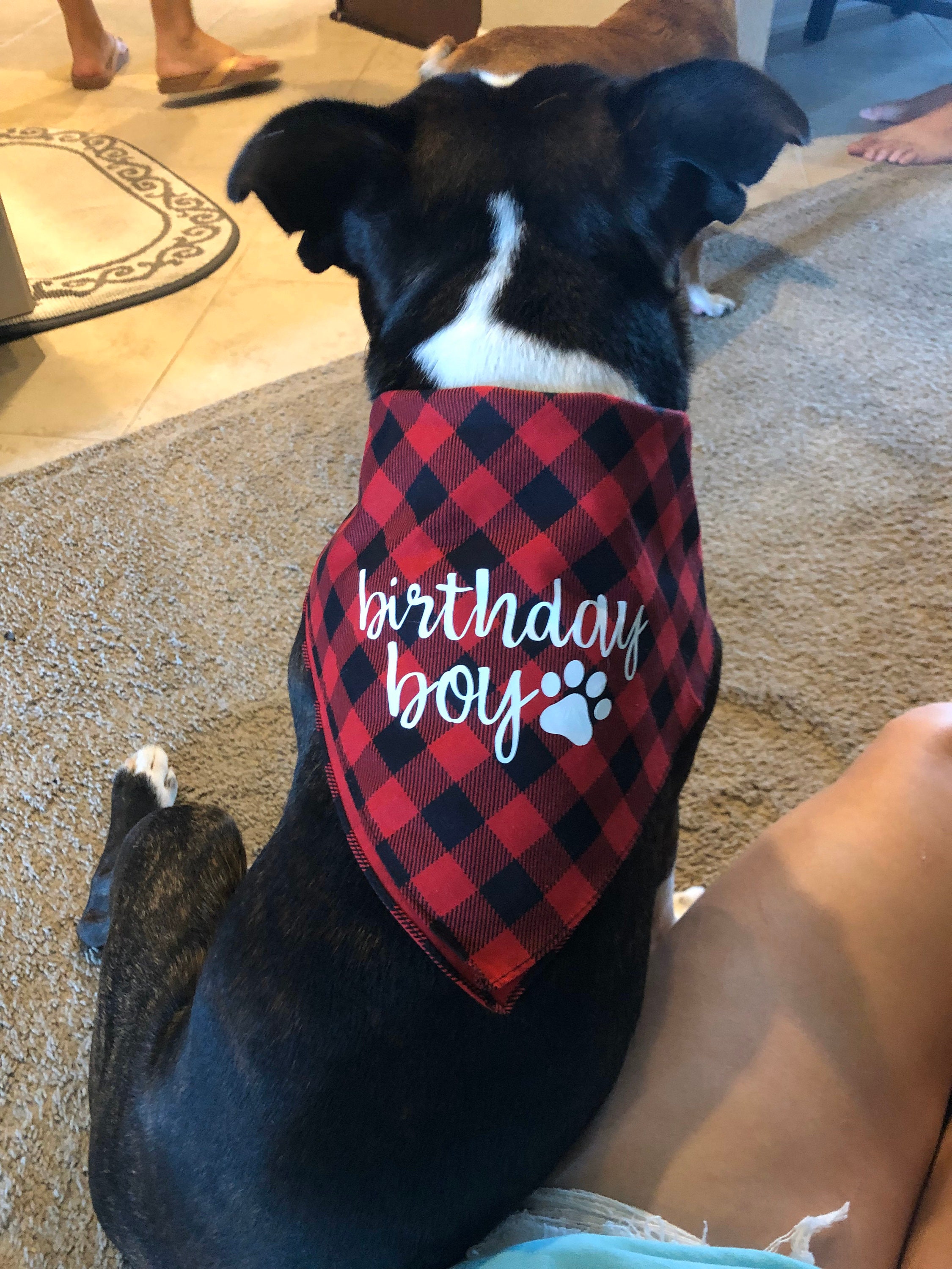 Birthday Boy bandana main image 0