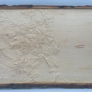 3D Live Edge Topographische Holzkarte von Colorado