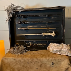 Custom Wand Collector Display Case