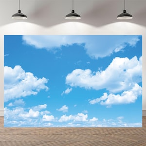 Summer Cloud Sky Backdrop Party Backdrop Baby Shower Photography Custom Birthday Background Vinyl Photo Banner