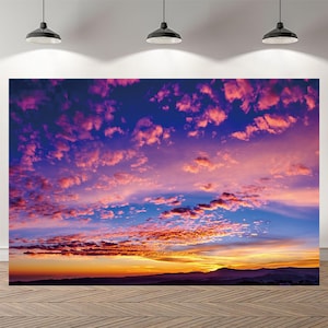 Summer Cloud Sky Sunset Backdrop Party Backdrop Baby Shower Photography Custom Birthday Background Vinyl Photo Banner