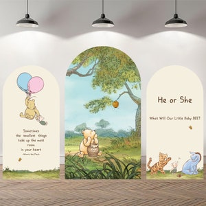 Custom Double-Sided Arch Cover Photo Backdrop Personalized Gender Reveal Gilr or Boy Baby Shower Photography Custom Party Background