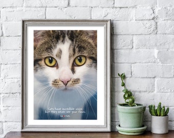 Cat's Eyes_Tabby and White_ A4 Print