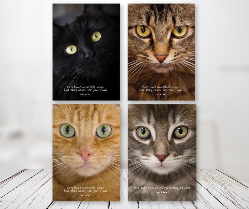 Cat's Eyes Cards 4 Pack - Etsy