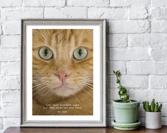 Cat's Eyes_Ginger_ A4 Print