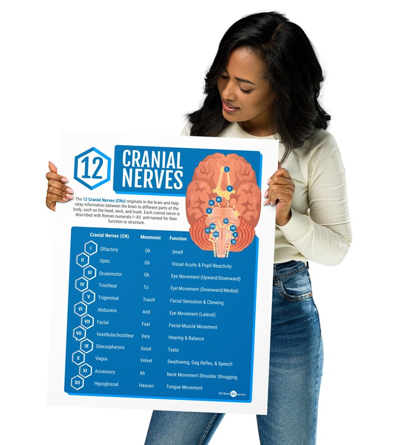 12 Cranial Nerves Print | Neurology Gift | Doctor Office Decor ...