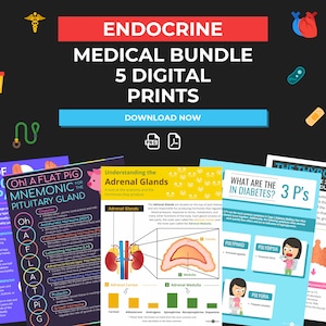 Endocrine Medical Bundle Prints | DIGITAL DOWNLOAD | Endocrinologist Gift | Doctor Office Decor | Endocrine system | Medical Office Art