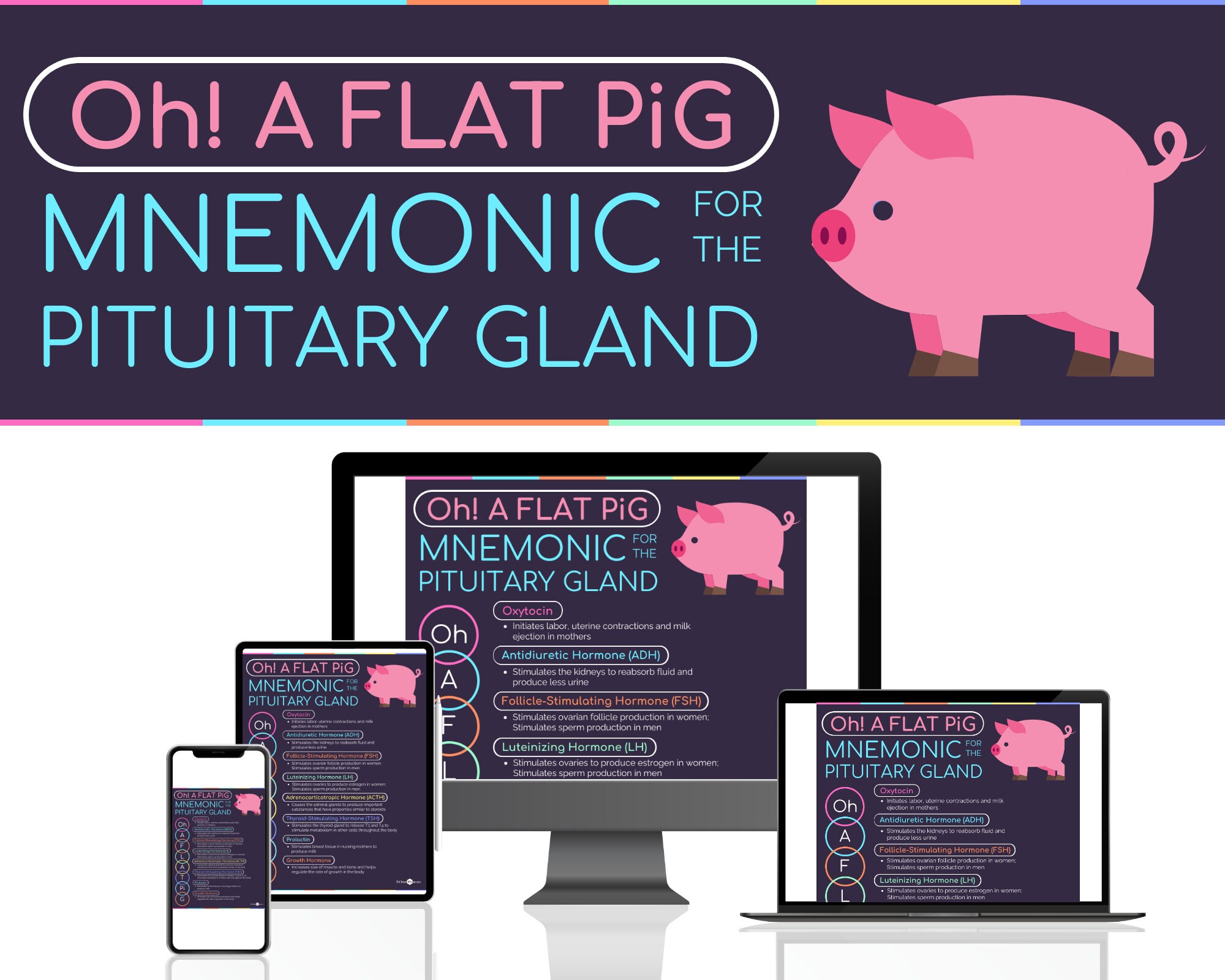 Pituitary Gland Mnemonic Print | DIGITAL DOWNLOAD | Endocrinologist ...