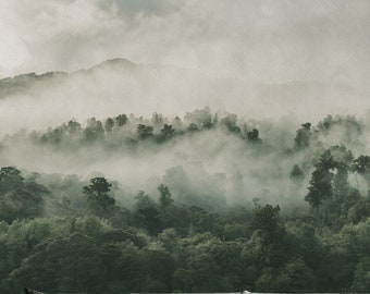 Nebelwald Tapete, Berglandschaft Wandbild, Abnehmbare Tapete, Benutzerdefinierte selbstklebende Tapete, Texturtapete, einfach anzubringen