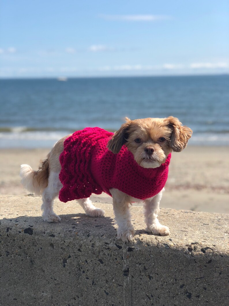 Dog Sweater Crochet Sweater Handmade Dog Sweater Etsy