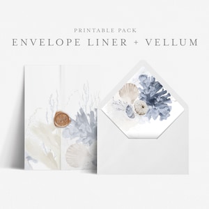 5x7 Envelope Liner Template with Printable Wedding Vellum Overlay, Euro and Square Flap, Print at home DIY, Seashells blue neutral - HLW23