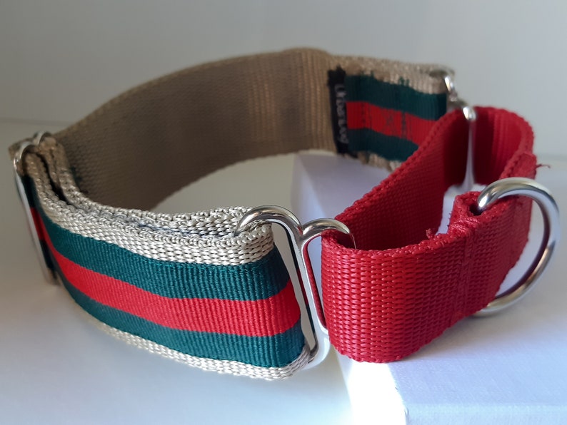 Martingale collar gucci inspired dog collar luxury collar Etsy