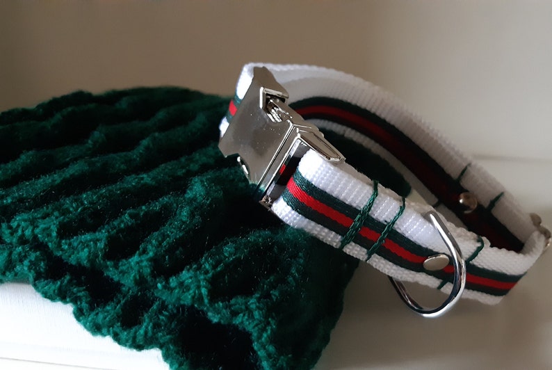 Gucci inspired dog collar G inspired dog collar pet collar Etsy