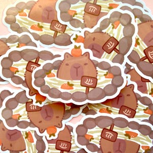 Dierenstickers: capibara, ruimtekatten, gelukskat, aardbeikikkers