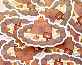 Animal Stickers- Capybara, Space Cats, Lucky Cat, Strawberry Frogs