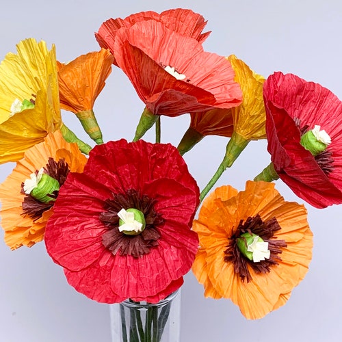 DIY Paper Flower Kit Carnation Bouquet5 Colors Set of 10 Etsy