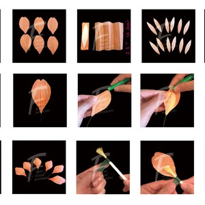 DIY Paper Flower Kit: Tulip Bouquet（5 Colors）| Set of 10 Flowers | Gift For Loved One | Home Decor | Kid Friendly Craft Kit image 6