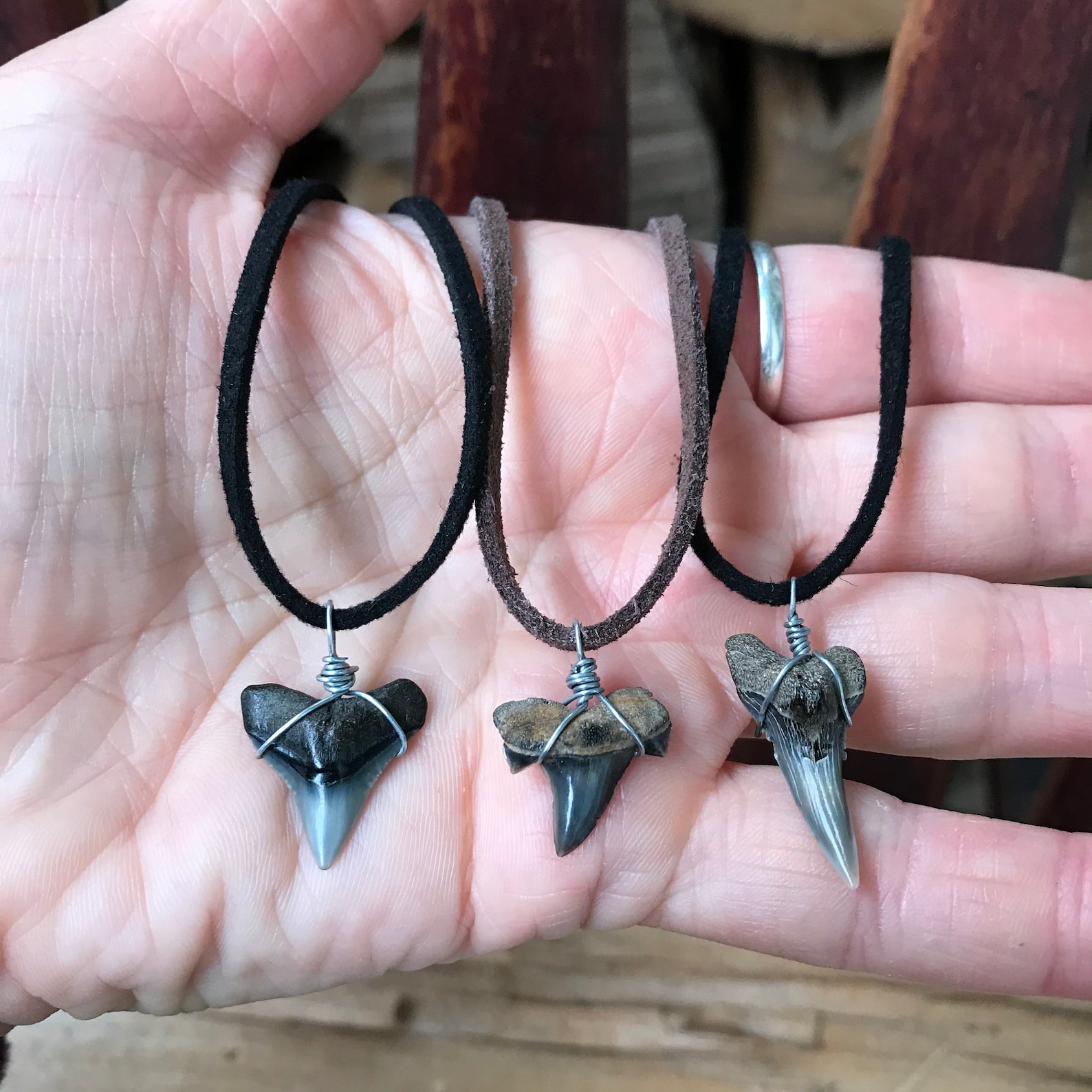Shark Tooth & Leather Necklaces Etsy